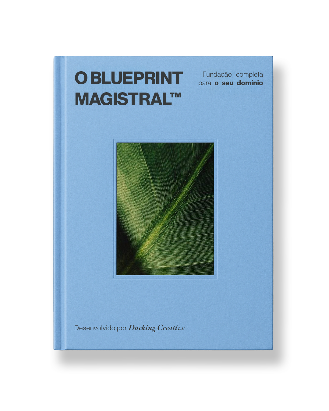 livro-blueprint